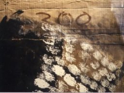 1993. s/ Por el Sendero de los cartones