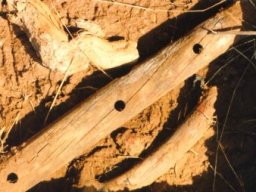 1992. Traffico de orugas. Luces de Kenya