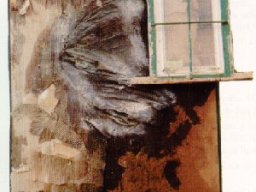 Texturas evolución estética